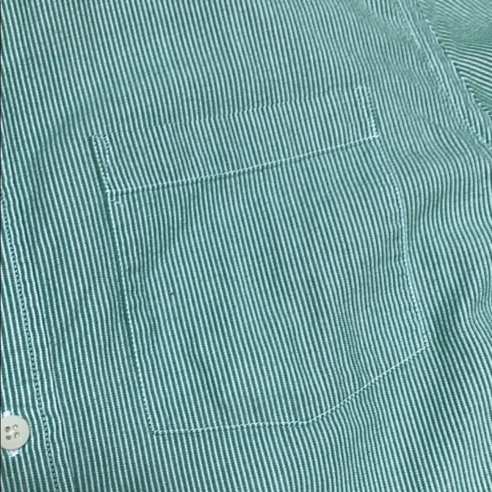 Pinstripe Button Down - image 3